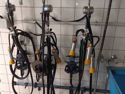 Bild 4:Melktechnik