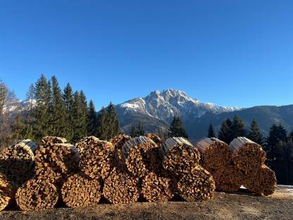 Brennholz Fichte Buche