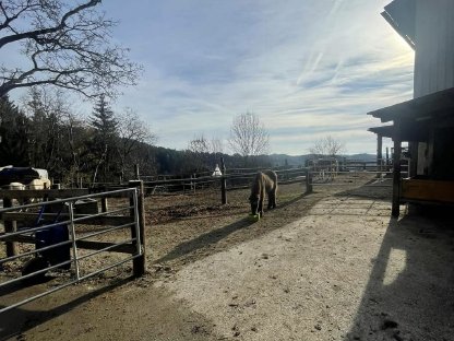 Bild 4:Einstellplatz für Pensionspferde