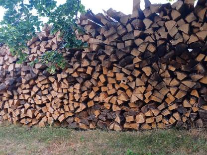 Bild 3:Brennholz