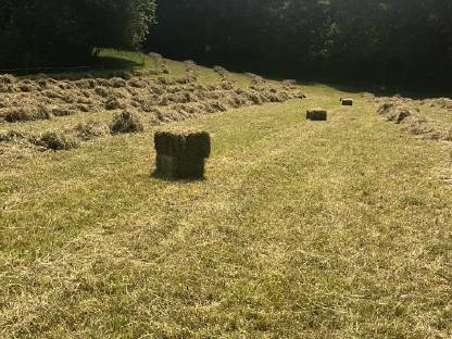 Verkaufe Heuballen