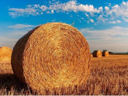 Stroh 3,5 ha Ernte 2025