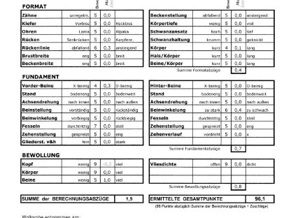 Bild 4:Leopard-Appaloosa-Hengst REDDIE: Feine Faser, starke Gene