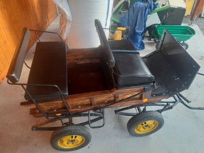 Bild 5:Kutsche für Haflinger oder Pony