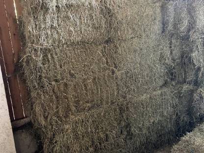 Bild 2:Heu Kleinballen