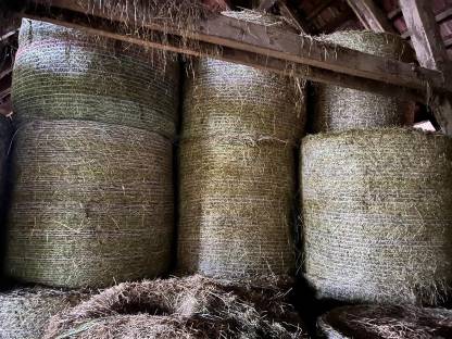 Bild 2:Heuballen