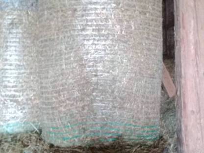 Bild 5:Heu in Rundballen Pferdeheu zu verkaufen