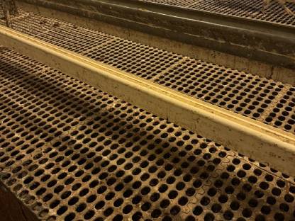 Bild 7:Hühner Stalleinrichtung