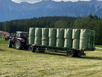 Verkaufe Heuballen, 1. Schnitt 2025