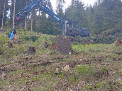 Bild 7:Prozessorbagger / Harvester ATLAS 1504M KETO 150HS