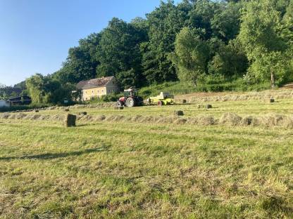 Bild 3:Verkaufe kleine eckige Heuballen