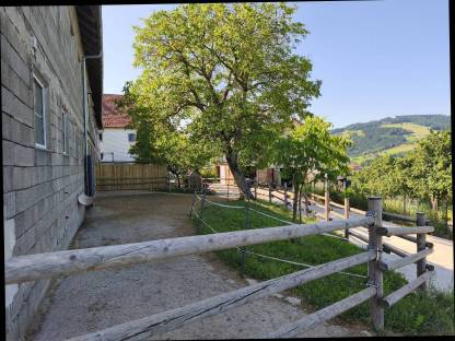 Bild 3:Aufzuchtsplatz