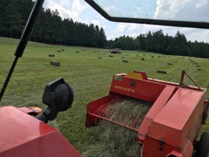 Bild 3:Biete Lohnpressen von HD Kleinballen