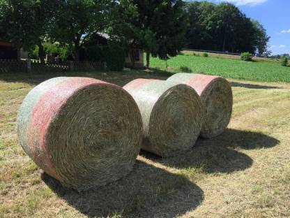 Heu Rundballen vom 1. Schnitt 2025