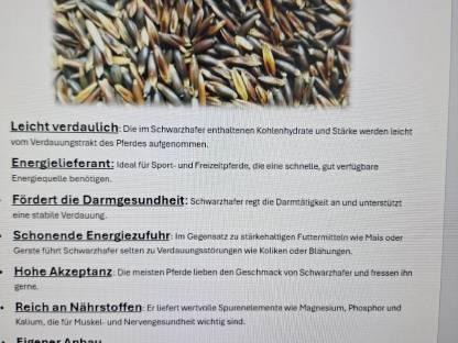 Bild 5:Schwarzhafer abgesackt