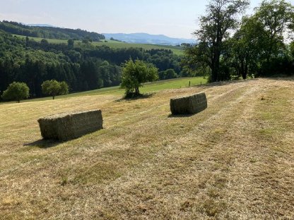 Bild 2:Verkaufe erstklassiges Pferdeheu, erster Schnitt 2025