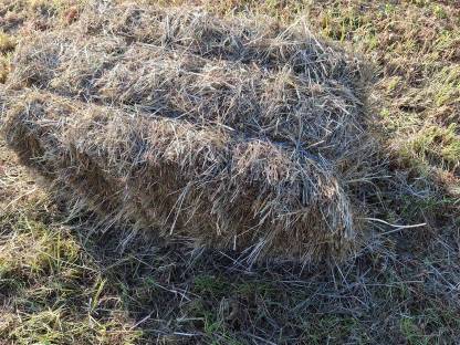 Bild 3:Bio Kleinballen Hochdruckballen