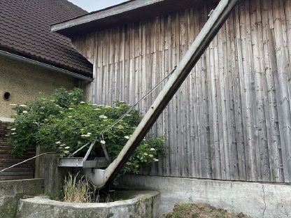 Entmistung zu verkaufen