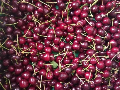 Bio Kirschen  -
