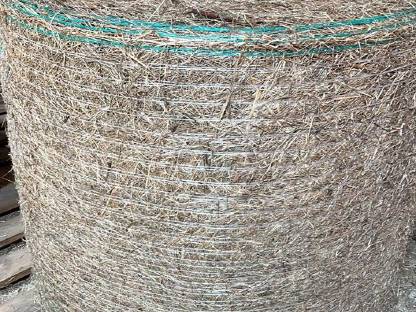 Bild 2:Verkaufe Heuballen aus 2024