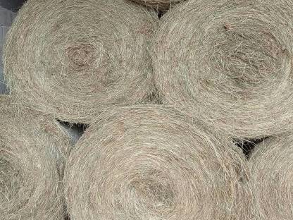 Bild 4:Bio Stroh und Heu in Rundballen und quarda