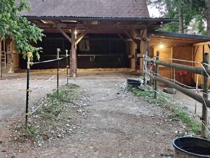 Bild 5:Offenstall Islandpferd