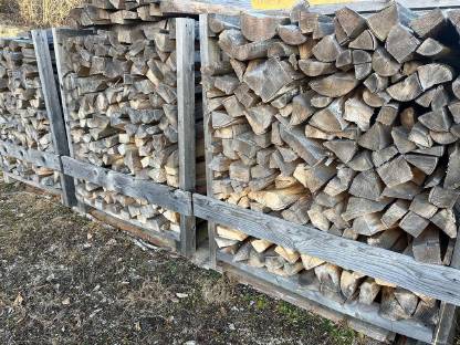 Brennholz Buche