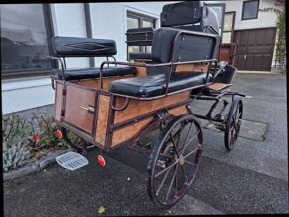 Wagonette für Haflinger