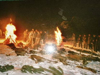 Bild 4:Pauschaljagd/Riegeljagd