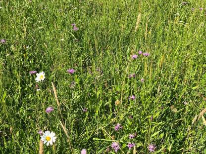 Bild 2:BIO Heu 2025, Naturland, Bio Austria