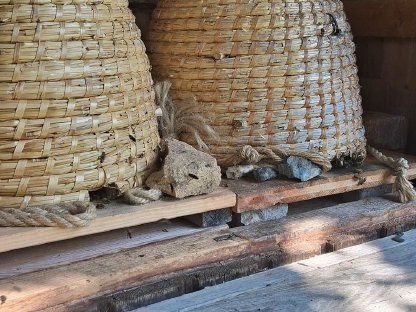 Honig aus der Buckligen Welt