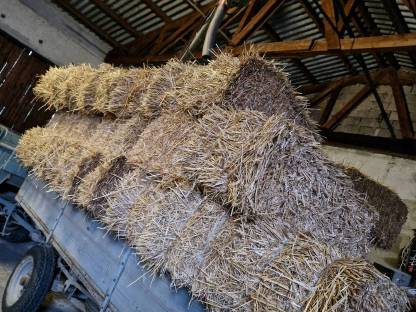 Bild 3:Kleine Strohballen