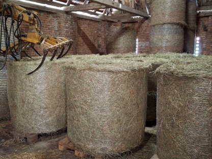 Heuballen 1. Schnitt 2025
