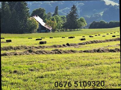 Bild 2:Kleine Heuballen zweiter Schnitt