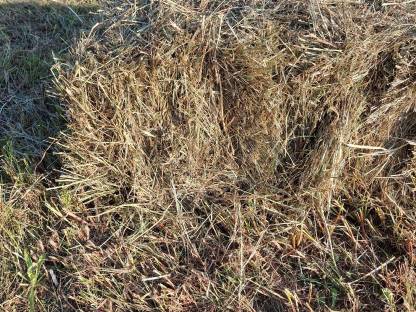 Bild 6:Kleinballen Hochdruckballen