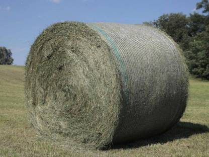Grummetballen vorbestellen
