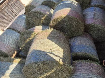 Bild 2:heu 1 schnitt  2025 Zustellung möglich