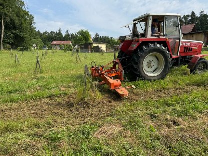 Bild 3:Kreiselegge nahe Stamm für Baumscheiben