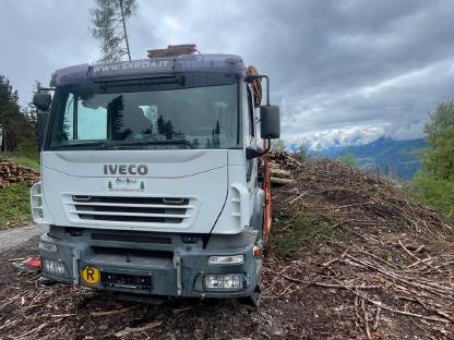 Bild 2:Wanderfalke 3t WF 017