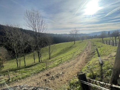 Bild 2:Einstellplatz für Pensionspferde