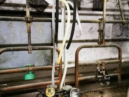 Bild 2:Rohrmelkanlage