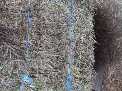 Bild 5:Welger AP12 HD Presse