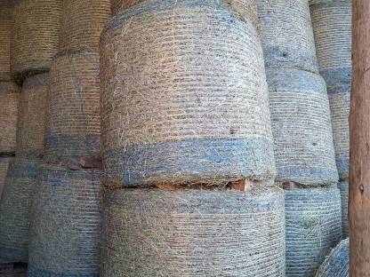 Bild 3:Heu, Bioheu, 1. Schnitt