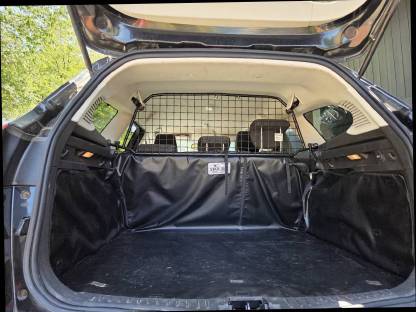 Bild 6:Ford Focus Kombi