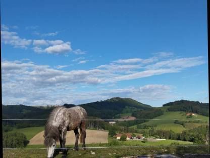 Einstellplatz