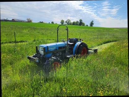 Bild 2:Eicher gesucht