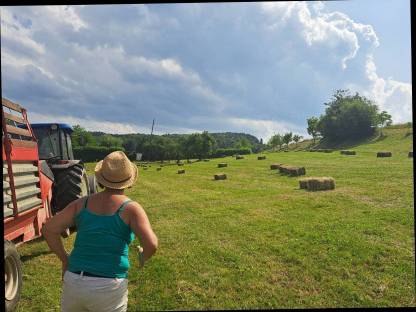 Bild 3:Heu Kleinballen