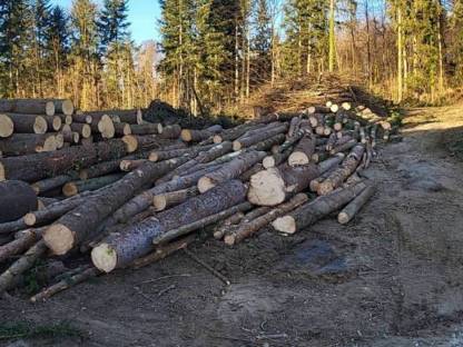 Bild 4:Diverse Forstdienstleistungen