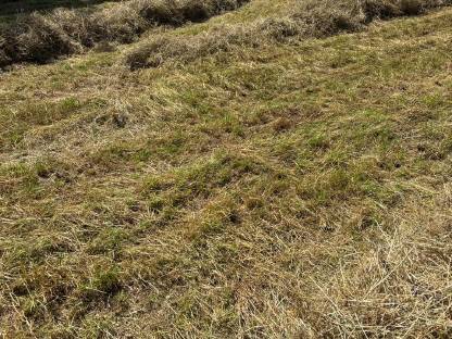 Bild 2:Heuballen 1,5 m BIO