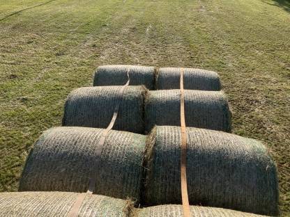 Bild 4:Heuballen und Grummetballen